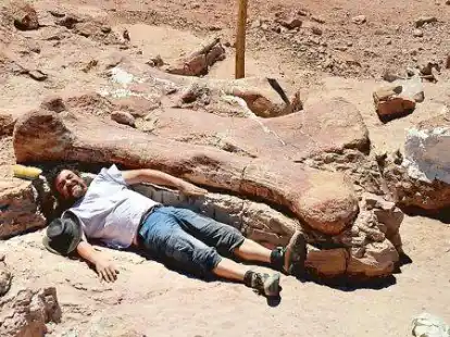 Allein die Oberschenkelknochen (hier neben einem Grabungsmitarbeiter) der jetzt gefundenen Saurierart waren deutlich mehr als zwei Meter lang.