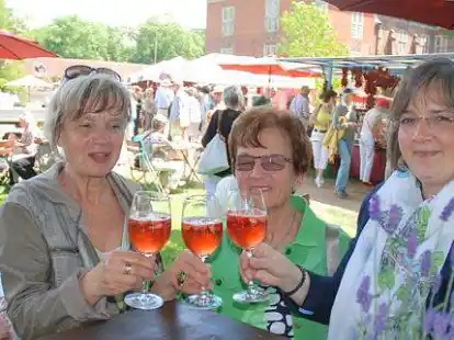Drei von mehr als 16 000: Helga Schr&ouml;der sowie Hedi Breyer und Linda Breyer aus Oldenburg genossen die Ladpartie Schloss G&ouml;dens bei traumhaftem Wetter.