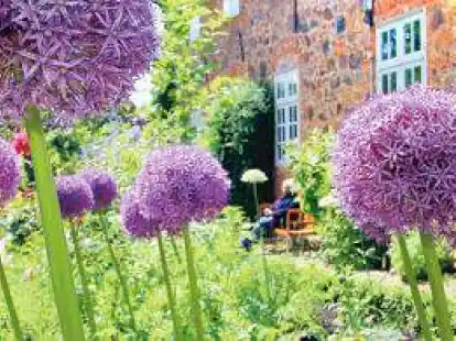 <p>Uta-Maria Kramer, Redakteurin f&uuml;r Wildeshausen</p>