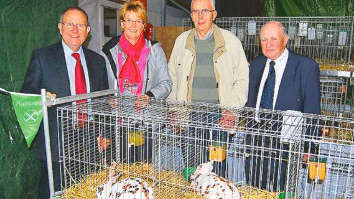 Rex Ragen Upperman Dalmatiner Rex ragen aus der Masse heraus