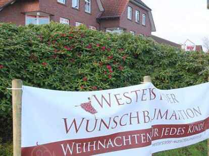 thuja brabant wie hoch Thuja Brabant kaufen – schnellwachsende Hecke main image 1