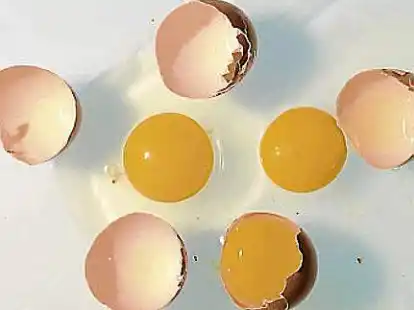 <p>Eier aus Bayern stehen im Salmonellen-Verdacht.</p>