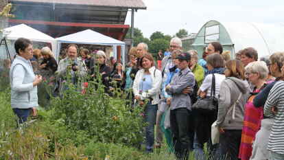Sommerfest der Hofgemeinschaft Grummersort.