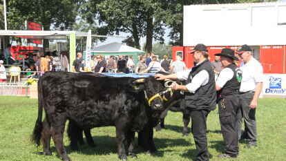 Die Agrar-und Freizeitmesse Landtage Nord erlebte am Sonntag bei bestem Sommerwetter einen Besucheransturm. Morgens ging es mit einem Gottesdienst los. Auch XXL-Ostfriese Tamme Hanken war mit seinem Kaltblut-Hengst Jumper in W&uuml;sting zu Gast.