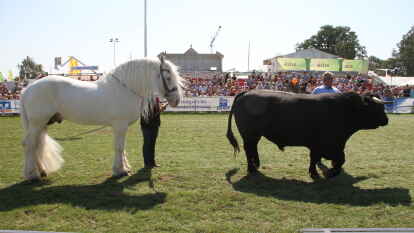 Die Agrar-und Freizeitmesse Landtage Nord erlebte am Sonntag bei bestem Sommerwetter einen Besucheransturm. Morgens ging es mit einem Gottesdienst los. Auch XXL-Ostfriese Tamme Hanken war mit seinem Kaltblut-Hengst Jumper in W&uuml;sting zu Gast.