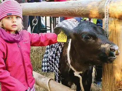 Lotte (5) aus Cottbus besuchte mit ihrer Familie den Streichelzoo auf dem Br&uuml;llmarkt