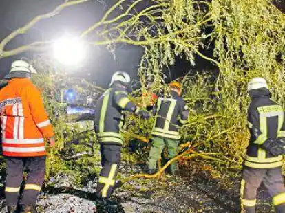 Feuerwehrm&auml;nner zerteilen den Baum auf der Stra&szlig;e mit einer Motorkettens&auml;ge.