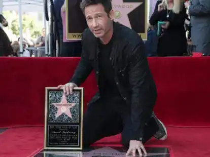 FBI-Agent, sexs&uuml;chtiger Schriftsteller, Manson-J&auml;ger: Immer wieder &uuml;berrascht David Duchovny als spezieller Charakter in Fernsehserien. Daf&uuml;r gab es jetzt einen Stern auf dem Walk of Fame.