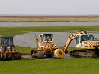 Bagger und Raupen des Landesbetriebes f&uuml;r K&uuml;sten- und Naturschutz warten auf ihren Einsatz. Die Bergung der Tiere wurde angesichts des Sturms und Hochwassers verschoben.