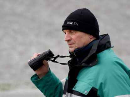 Gerd Meurs, Leiter des Nationalpark-Zentrum Multimar Wattforum, beobachtet mit einem Fernglas die gestrandeten Wale.