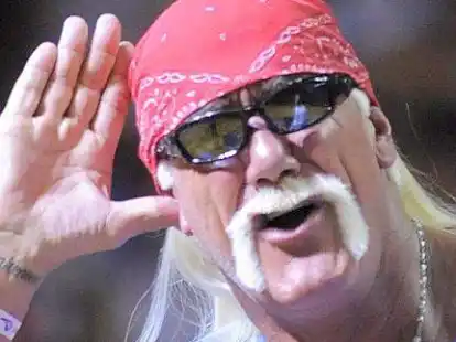 <p>Erfolgreich: Ex-Wrestlingstar Hulk Hogan</p>