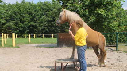Uwe Jourdain zeigt mit Mirco ein Kunstst&uuml;ck.