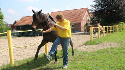 Uwe Jourdain zeigt mit Iltschi den &bdquo;spanischen Tritt&ldquo;.