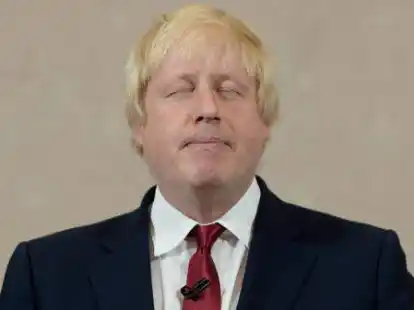 Boris Johnson will nicht Nachfolger von David Cameron werden.