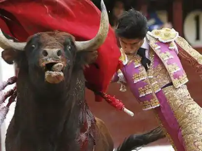 V&iacute;ctor Barrio bei einem Stierkampf im Mai 2016.