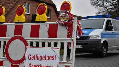 Vogelgrippe in D&ouml;tlingen: Der Fall in diesem Maststall hat auch Konsequenzen f&uuml;r den Kreis Vechta, weil es Kontakt zu zwei dortigen Gefl&uuml;gelhaltungen gab.