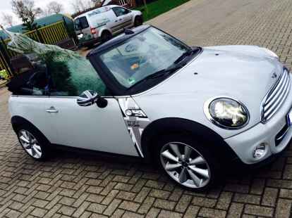 Luftig: Auch der Weihnachtsbaum von Martin Heyens bekam beim Transport noch frische Luft ab.