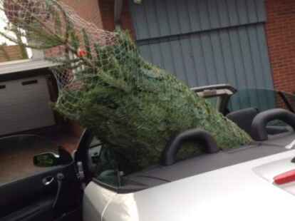 Einfallsreich: Der zu gro&szlig;e Tannenbaum passte auch bei Susanne Janik nicht mehr in den Kofferraum.
