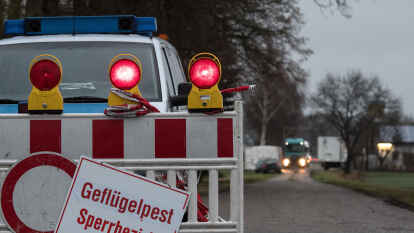 Zufahrt zur Maststallanlage bei D&ouml;tlingen.