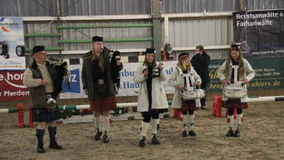 25 Fohlen wurden beim 27. Fohlenchampionat des Reitervereins Ganderkesee pr&auml;sentiert.