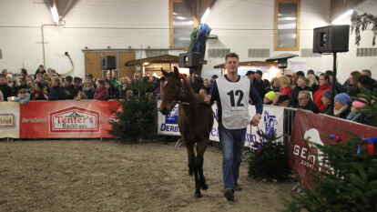 25 Fohlen wurden beim 27. Fohlenchampionat des Reitervereins Ganderkesee pr&auml;sentiert.