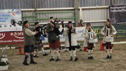 25 Fohlen wurden beim 27. Fohlenchampionat des Reitervereins Ganderkesee pr&auml;sentiert.