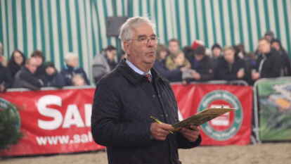 25 Fohlen wurden beim 27. Fohlenchampionat des Reitervereins Ganderkesee pr&auml;sentiert.