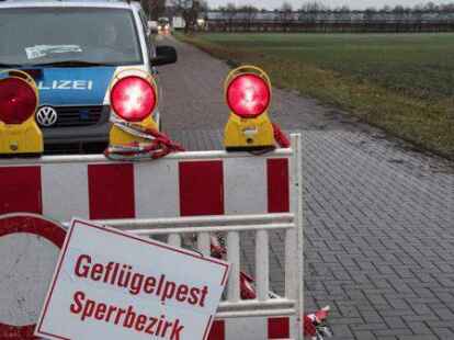Gefl&uuml;gelpest in der Region: Die Zufahrt zu einer Maststallanlage bei D&ouml;tlingen ist am 25.12.2016 von der Polizei abgesperrt. Nach dem Auftreten des H5N8-Virus mussten hier rund 10.000 Tiere get&ouml;tet werden.