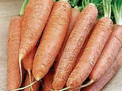 <p>                     </p>