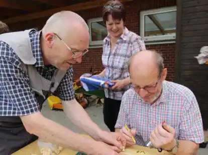 Vorsichtig nimmt Hermann T&ouml;njes (rechts) die Larven mit der Umlarvnadel aus den Zellen und setzt sie in die sogenannten Weiseln&auml;pfchen, die J&uuml;rgen St&ouml;ver bereith&auml;lt. Imkerin Sonja Rose reiste f&uuml;r den Lehrgang aus Bremen an.