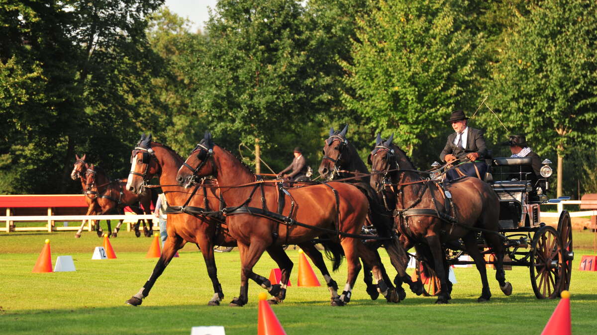 69. Oldenburger Landesturnier Impressionen vom Freitag