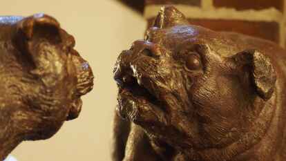 Die Klasse 9R2 der Oberschule am Luisenhof hat mit ihrem Lehrer Tilo Lehmann einen spannenden Tag beim Amtsgericht in Nordenham verbracht. Nachdem sie zwei Verhandlungen zugeschaut hatten, stand ihnen Richter Staubwasser Rede und Antwort.