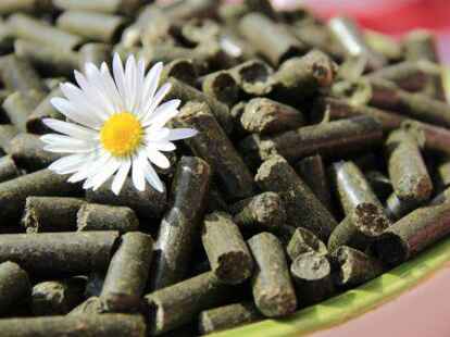 kalium als dünger Dennerle Plant Care K