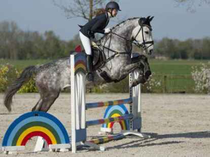 Die Reiter und Reiterinnen haben das dreit&auml;gige auf dem Hof Sosath in Lemwerder genossen. Die Zuschauer sahen bei perfekten Bedingungen zahlreiche Pr&uuml;fungen mit Nachwuchstalenten und ausgebufften Profis.