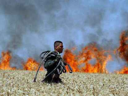 Einen Feuerwehrmann geht in S&uuml;disrael durch ein brennendes Getreidefeld. Das  Feuer wurde von einem brennenden  Drachen aus dem Gazastreifen ausgel&ouml;st.