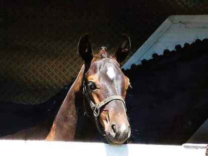 Das Warten auf den gro&szlig;en Auftritt.