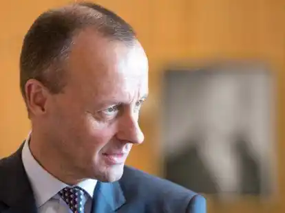 Will den Erhard-Preis nicht: Friedrich Merz.