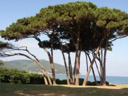 Bucht von Baratti: Die Costa degli Etruschi verbindet die klassischen Merkmale der Toskana mit dem Meer. &ndash; Kleines Bild: Gute Badebedingungen bietet der Strand von Marina di Castagneto Carducci.