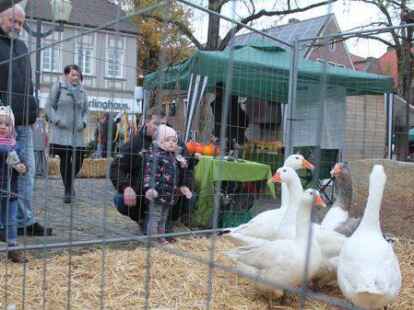 Durften beim G&auml;nsemarkt nat&uuml;rlich nicht fehlen: G&auml;nse.