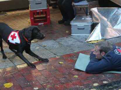 Zum ersten Mal beim G&auml;nsemarkt am 11. November in Wildeshausen: die DRK-Rettungshundestaffel Aurich.