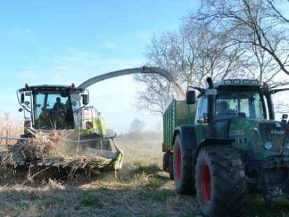 Archivbild:  Ernte im April 2016