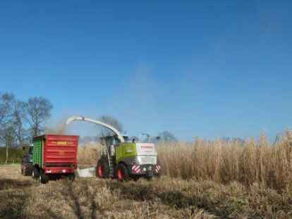 Archivbild:  Ernte im April 2016