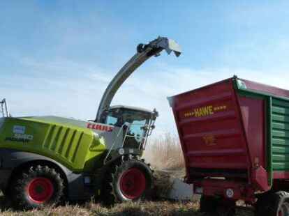 Archivbild:  Ernte im April 2016