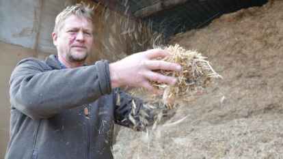 Braucht weder &Ouml;l noch Gas zum Heizen: Manfred Schr&ouml;der mit geschreddertem Elefantengras