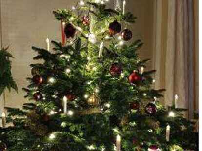 Kugeln mit Botschaft: Ursula Nolte h&auml;ngte die Abschiedsgr&uuml;&szlig;e der Kollegen an die Zweige.