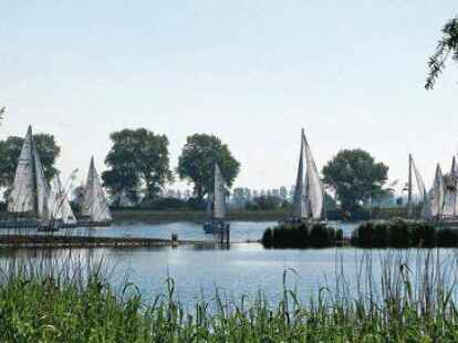 Die  Teilnahmen an Regatten geben dem SWE-Vorstand guten Grund zur Hoffnung, dass es weiter aufw&auml;rts geht.