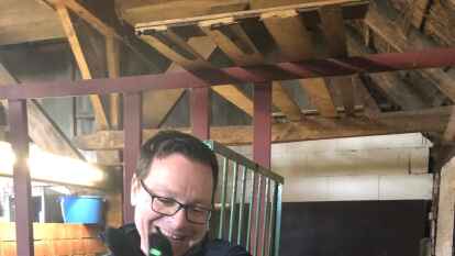 Bist du mein Papa? NWZ-Chefredakteur Lars Reckermann mit einem neugeborenen Lamm.