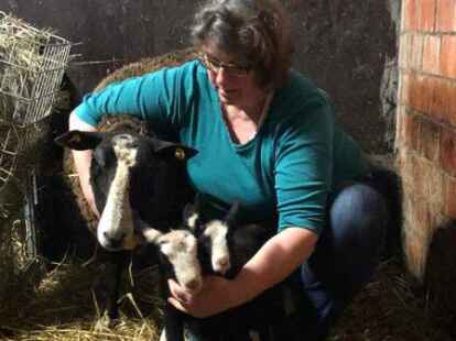Landwirtin Alke Feise-Addicks mit zwei neugeborenen L&auml;mmern und dem Mutterschaf.