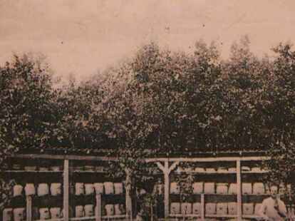 ...zeigt die Kasten- und Korbimkerei von Hermann Nordbrock.