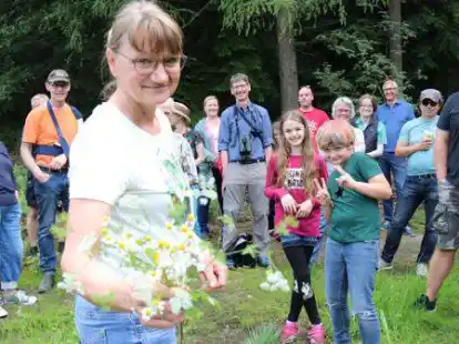 Gesundes aus der Natur: Kr&auml;uterexpertin Manuela Kieler erkl&auml;rte, welche Pflanze wof&uuml;r gut ist.